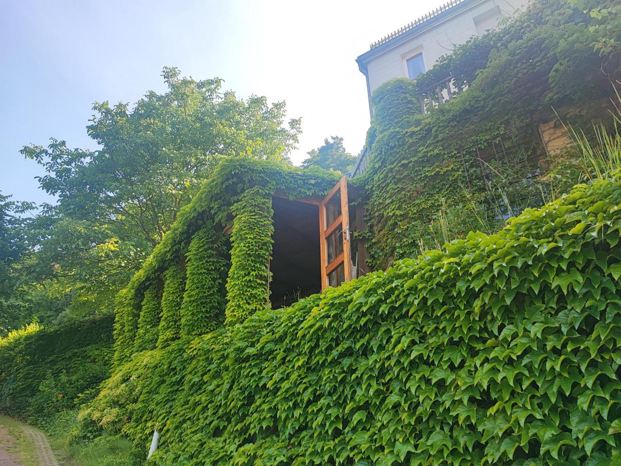 Penzion Privoz Hřensko Oda fotoğraf